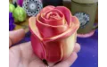 3D Printing (2) 3D Printing (2)