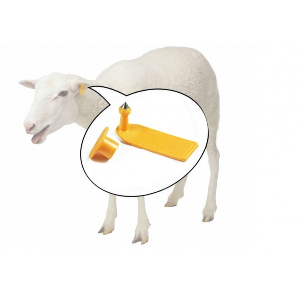 RFID - Animal Ear Tag for Livestock Sheep